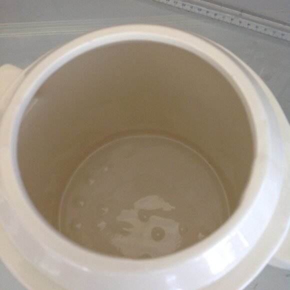 Vintage Ceramic Duck Canister White with Blue Lid Adorned with Duck Scenes - Picture 3 of 3